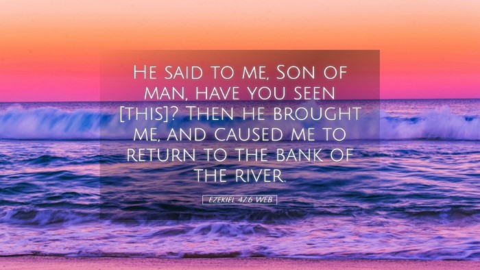 Picture 05 - Ezekiel 47:6 WEB Desktop Wallpaper - He said to me, Son of man, have you seen [this]? - Desktop Bible Verse Wallpaper