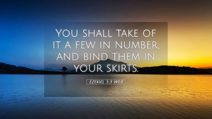 Picture 05 - Ezekiel 5:3 WEB Desktop Wallpaper - You shall take of it a few in number, and bind - Desktop Bible Verse Wallpaper