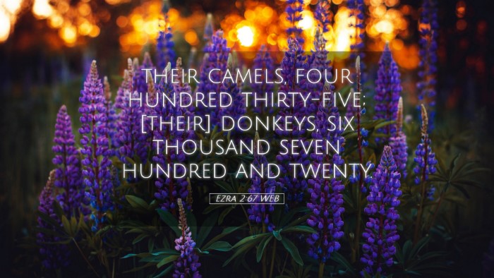 Picture 05 - Ezra 2:67 WEB Desktop Wallpaper - their camels, four hundred thirty-five; [their] - Desktop Bible Verse Wallpaper