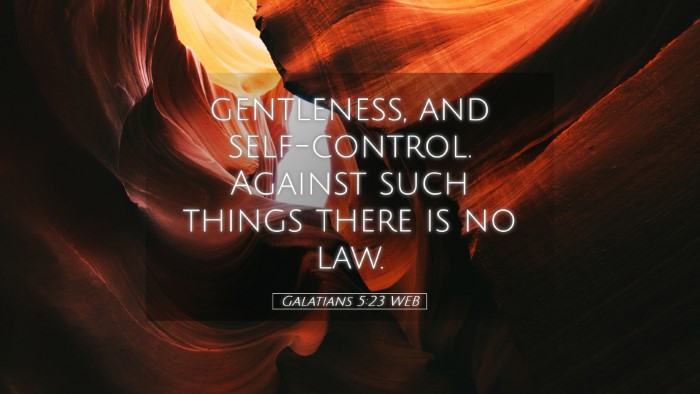 Picture 05 - Galatians 5:23 WEB Desktop Wallpaper - gentleness, and self-control. Against such things - Desktop Bible Verse Wallpaper