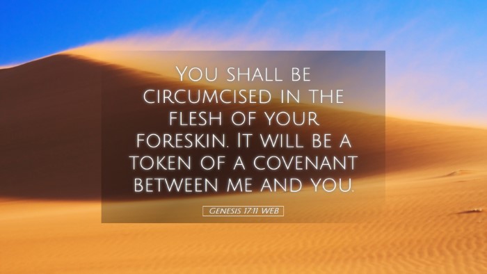 Picture 05 - Genesis 17:11 WEB Desktop Wallpaper - You shall be circumcised in the flesh of your - Desktop Bible Verse Wallpaper