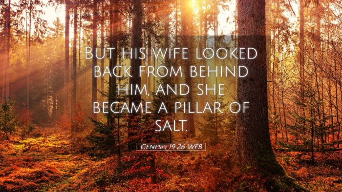 Picture 05 - Genesis 19:26 WEB Desktop Wallpaper - But his wife looked back from behind him, and she - Desktop Bible Verse Wallpaper