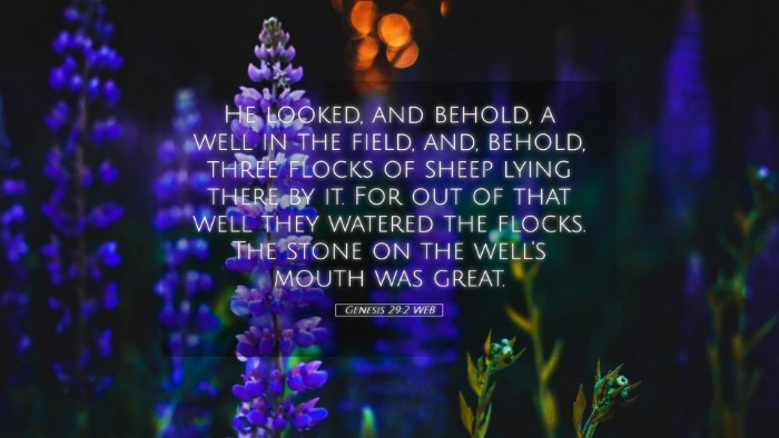 Picture 05 - Genesis 29:2 WEB Desktop Wallpaper - He looked, and behold, a well in the field, and, - Desktop Bible Verse Wallpaper