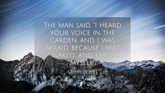 Picture 05 - Genesis 3:10 WEB Desktop Wallpaper - The man said, 