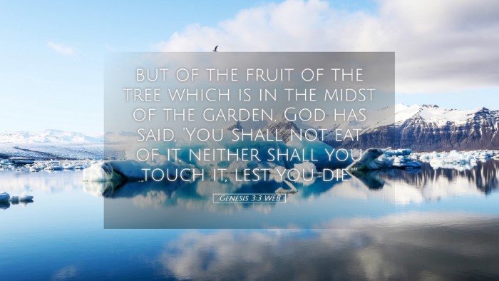 Picture 05 - Genesis 3:3 WEB Desktop Wallpaper - but of the fruit of the tree which is in the - Desktop Bible Verse Wallpaper