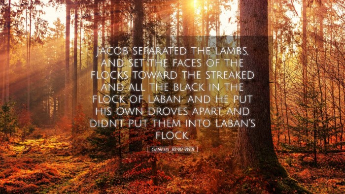 Picture 05 - Genesis 30:40 WEB Desktop Wallpaper - Jacob separated the lambs, and set the faces of - Desktop Bible Verse Wallpaper