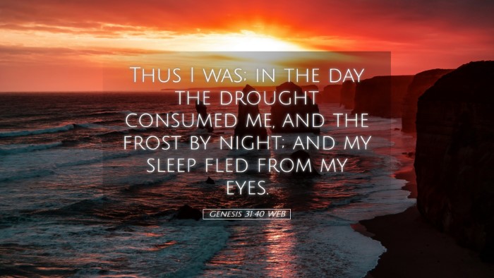 Picture 05 - Genesis 31:40 WEB Desktop Wallpaper - Thus I was; in the day the drought consumed me, - Desktop Bible Verse Wallpaper