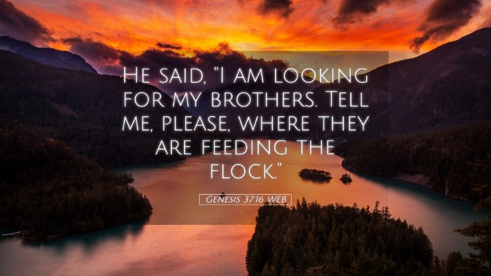 Picture 05 - Genesis 37:16 WEB Desktop Wallpaper - He said, 