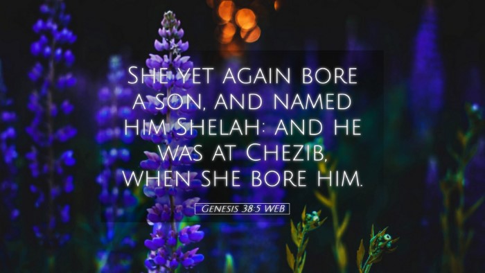 Picture 05 - Genesis 38:5 WEB Desktop Wallpaper - She yet again bore a son, and named him Shelah: - Desktop Bible Verse Wallpaper