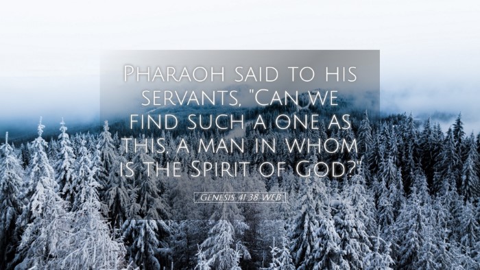 Picture 05 - Genesis 41:38 WEB Desktop Wallpaper - Pharaoh said to his servants, 