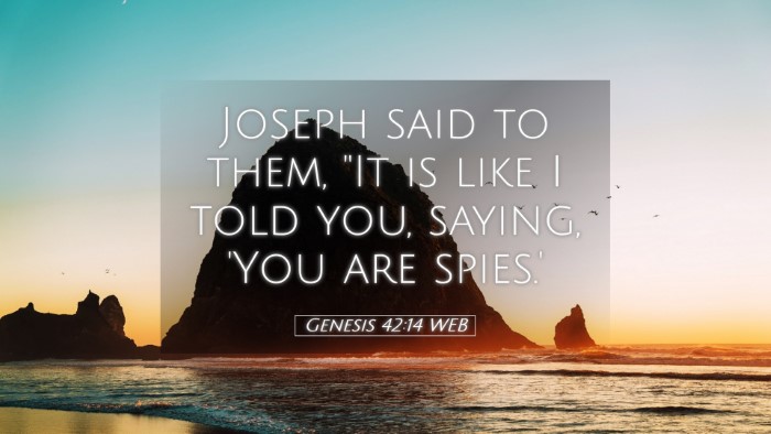 Picture 05 - Genesis 42:14 WEB Desktop Wallpaper - Joseph said to them, 