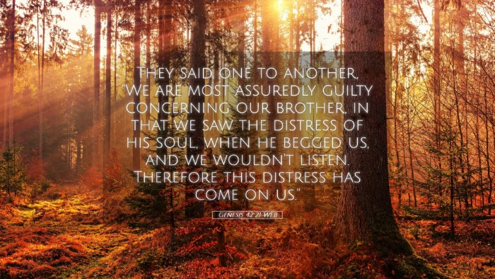 Picture 05 - Genesis 42:21 WEB Desktop Wallpaper - They said one to another, 