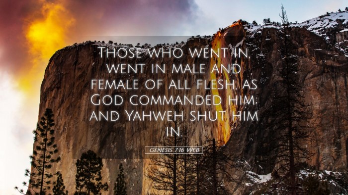 Picture 05 - Genesis 7:16 WEB Desktop Wallpaper - Those who went in, went in male and female of all - Desktop Bible Verse Wallpaper