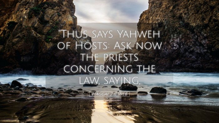 Picture 05 - Haggai 2:11 WEB Desktop Wallpaper - 