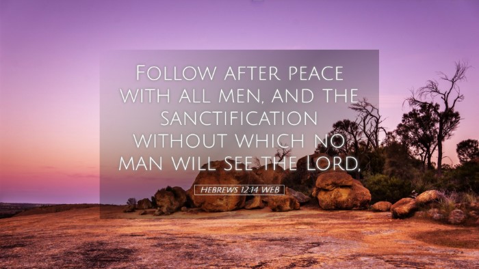 Picture 05 - Hebrews 12:14 WEB Desktop Wallpaper - Follow after peace with all men, and the - Desktop Bible Verse Wallpaper