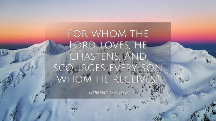 Picture 05 - Hebrews 12:6 WEB Desktop Wallpaper - For whom the Lord loves, he chastens, And - Desktop Bible Verse Wallpaper