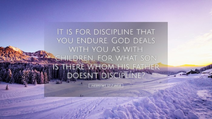 Picture 05 - Hebrews 12:7 WEB Desktop Wallpaper - It is for discipline that you endure. God deals - Desktop Bible Verse Wallpaper