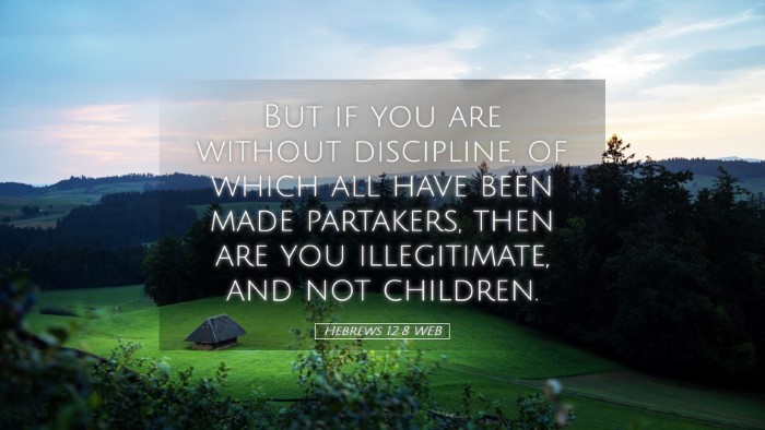 Picture 05 - Hebrews 12:8 WEB Desktop Wallpaper - But if you are without discipline, of which all - Desktop Bible Verse Wallpaper