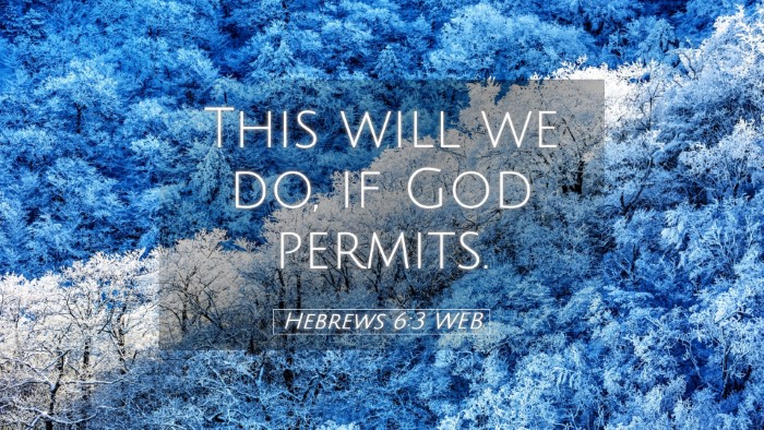 Picture 05 - Hebrews 6:3 WEB Desktop Wallpaper - This will we do, if God - Desktop Bible Verse Wallpaper