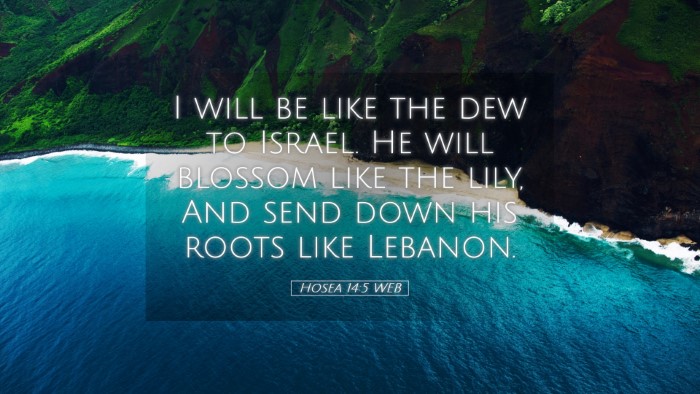 Picture 05 - Hosea 14:5 WEB Desktop Wallpaper - I will be like the dew to Israel. He will blossom - Desktop Bible Verse Wallpaper