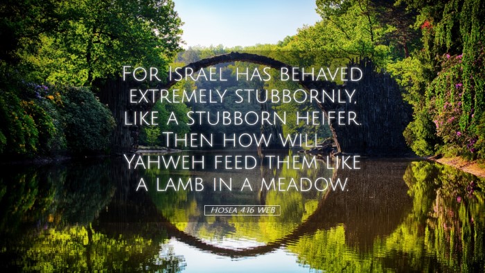 Picture 05 - Hosea 4:16 WEB Desktop Wallpaper - For Israel has behaved extremely stubbornly, like - Desktop Bible Verse Wallpaper
