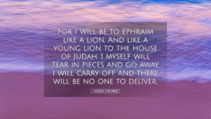Picture 05 - Hosea 5:14 WEB Desktop Wallpaper - For I will be to Ephraim like a lion, And like a - Desktop Bible Verse Wallpaper