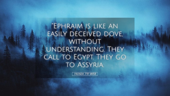 Picture 05 - Hosea 7:11 WEB Desktop Wallpaper - 