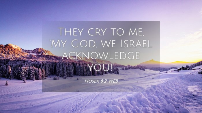 Picture 05 - Hosea 8:2 WEB Desktop Wallpaper - They cry to me, 'My God, we Israel acknowledge - Desktop Bible Verse Wallpaper