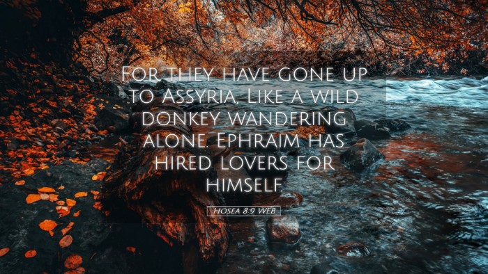 Picture 05 - Hosea 8:9 WEB Desktop Wallpaper - For they have gone up to Assyria, Like a wild - Desktop Bible Verse Wallpaper