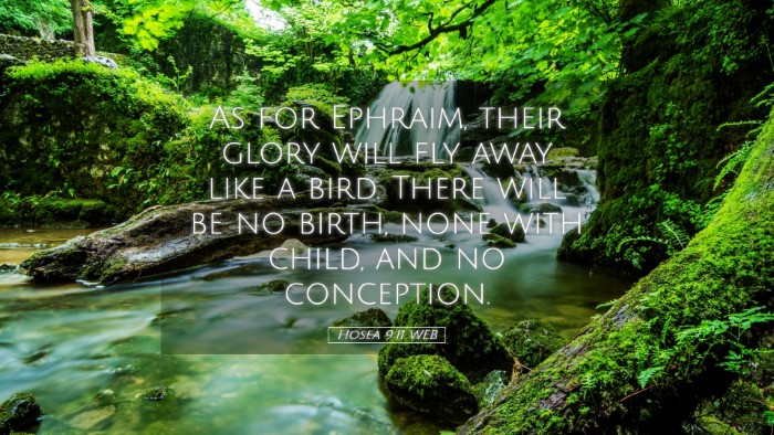 Picture 05 - Hosea 9:11 WEB Desktop Wallpaper - As for Ephraim, their glory will fly away like a - Desktop Bible Verse Wallpaper