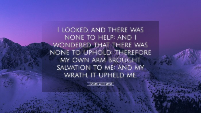 Picture 05 - Isaiah 63:5 WEB Desktop Wallpaper - I looked, and there was none to help; and I - Desktop Bible Verse Wallpaper