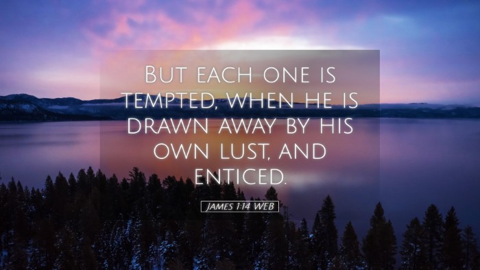 Picture 05 - James 1:14 WEB Desktop Wallpaper - But each one is tempted, when he is drawn away by - Desktop Bible Verse Wallpaper