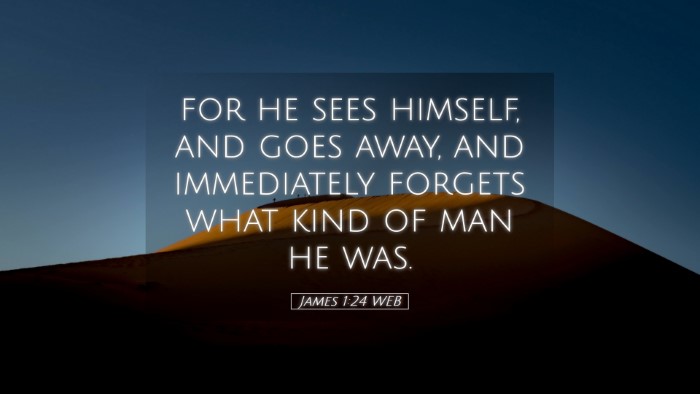 Picture 05 - James 1:24 WEB Desktop Wallpaper - for he sees himself, and goes away, and - Desktop Bible Verse Wallpaper