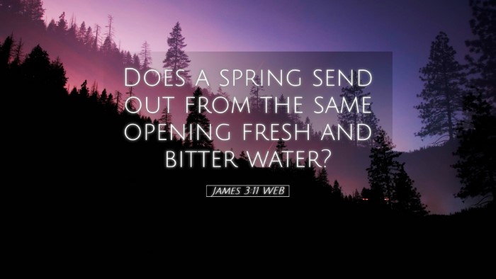 Picture 05 - James 3:11 WEB Desktop Wallpaper - Does a spring send out from the same opening - Desktop Bible Verse Wallpaper