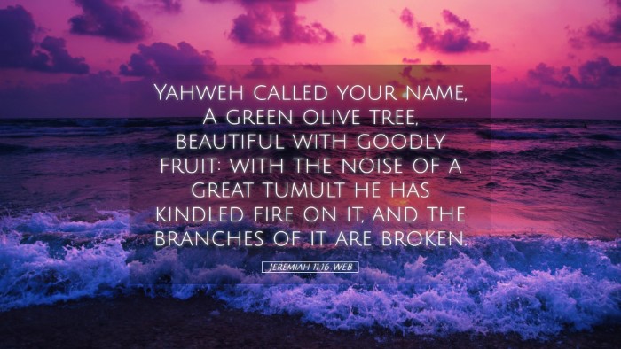 Picture 05 - Jeremiah 11:16 WEB Desktop Wallpaper - Yahweh called your name, A green olive tree, - Desktop Bible Verse Wallpaper