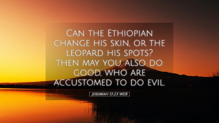 Picture 05 - Jeremiah 13:23 WEB Desktop Wallpaper - Can the Ethiopian change his skin, or the leopard - Desktop Bible Verse Wallpaper