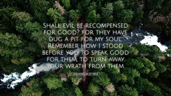 Picture 05 - Jeremiah 18:20 WEB Desktop Wallpaper - Shall evil be recompensed for good? for they have - Desktop Bible Verse Wallpaper