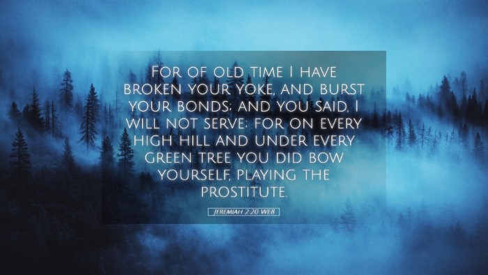 Picture 05 - Jeremiah 2:20 WEB Desktop Wallpaper - For of old time I have broken your yoke, and - Desktop Bible Verse Wallpaper