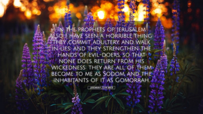 Picture 05 - Jeremiah 23:14 WEB Desktop Wallpaper - In the prophets of Jerusalem also I have seen a - Desktop Bible Verse Wallpaper