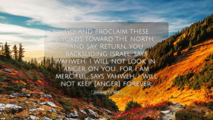 Picture 05 - Jeremiah 3:12 WEB Desktop Wallpaper - Go, and proclaim these words toward the north, - Desktop Bible Verse Wallpaper