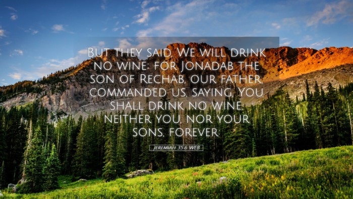 Picture 05 - Jeremiah 35:6 WEB Desktop Wallpaper - But they said, We will drink no wine; for Jonadab - Desktop Bible Verse Wallpaper