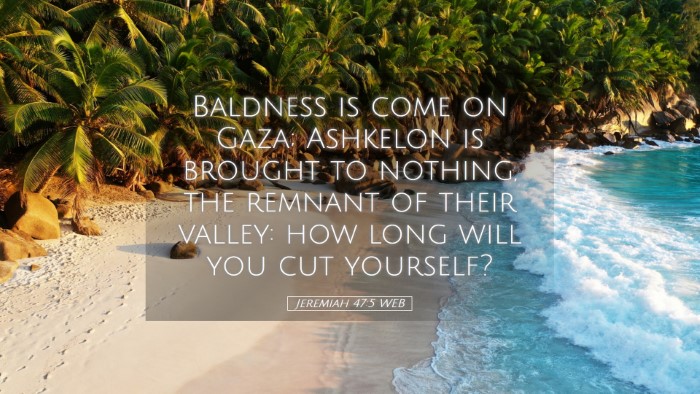 Picture 05 - Jeremiah 47:5 WEB Desktop Wallpaper - Baldness is come on Gaza; Ashkelon is brought to - Desktop Bible Verse Wallpaper