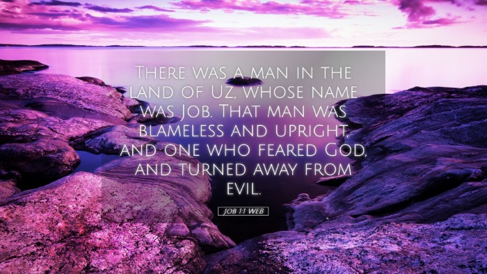 Picture 05 - Job 1:1 WEB Desktop Wallpaper - There was a man in the land of Uz, whose name was - Desktop Bible Verse Wallpaper