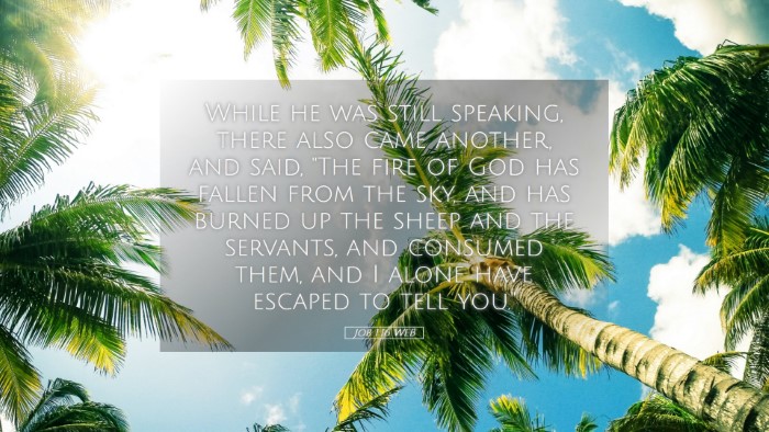 Picture 05 - Job 1:16 WEB Desktop Wallpaper - While he was still speaking, there also came - Desktop Bible Verse Wallpaper
