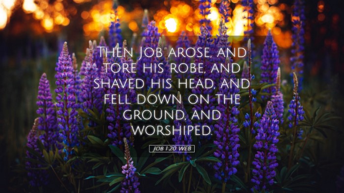 Picture 05 - Job 1:20 WEB Desktop Wallpaper - Then Job arose, and tore his robe, and shaved his - Desktop Bible Verse Wallpaper