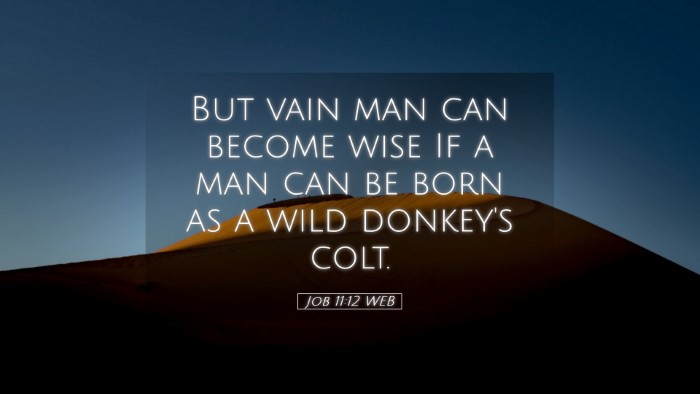 Picture 05 - Job 11:12 WEB Desktop Wallpaper - But vain man can become wise If a man can be born - Desktop Bible Verse Wallpaper