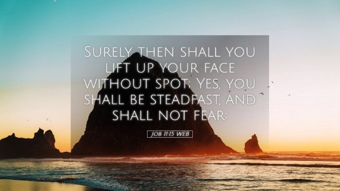 Picture 05 - Job 11:15 WEB Desktop Wallpaper - Surely then shall you lift up your face without - Desktop Bible Verse Wallpaper