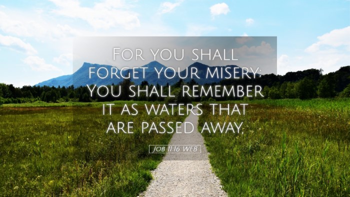 Picture 05 - Job 11:16 WEB Desktop Wallpaper - For you shall forget your misery; You shall - Desktop Bible Verse Wallpaper