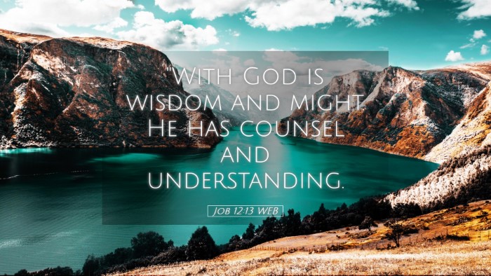 Picture 05 - Job 12:13 WEB Desktop Wallpaper - 