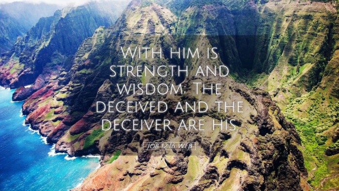 Picture 05 - Job 12:16 WEB Desktop Wallpaper - With him is strength and wisdom; The deceived and - Desktop Bible Verse Wallpaper